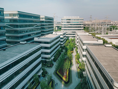 مكافحة الكيرام